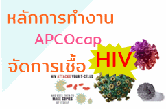 APCOcapหยุด เชื้อ HIV/AIDS